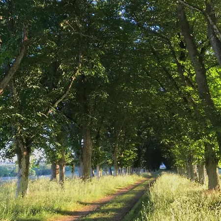 Chateau De Piedouault Casa de Férias Jallais