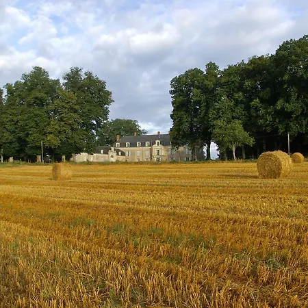 Chateau De Piedouault * Jallais