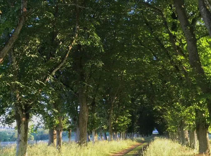 Chateau De Piedouault בית נופש Jallais