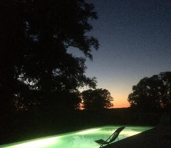 Chateau De Piedouault * Jallais