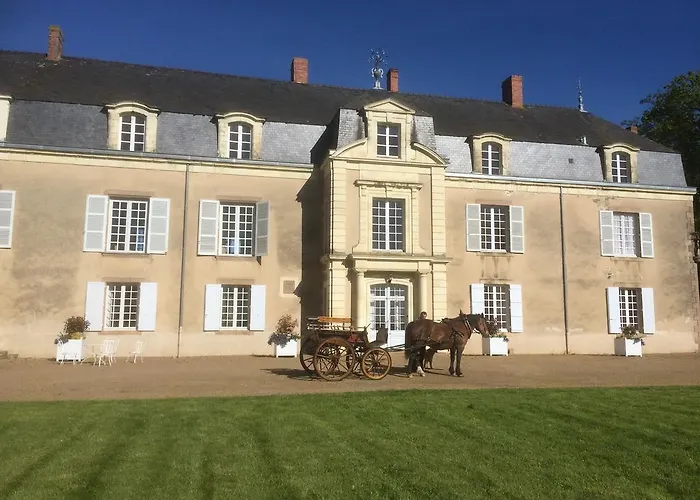 Chateau De Piedouault בית נופש Jallais