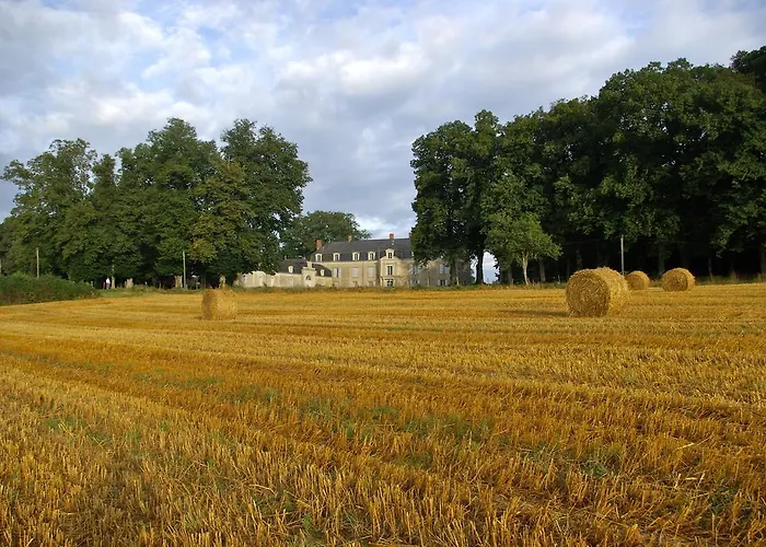 Chateau De Piedouault * Jallais